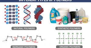 Types of Polymers