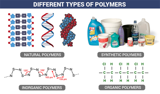 Types of Polymers