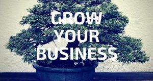 How To Find a Home for Your Growing Business